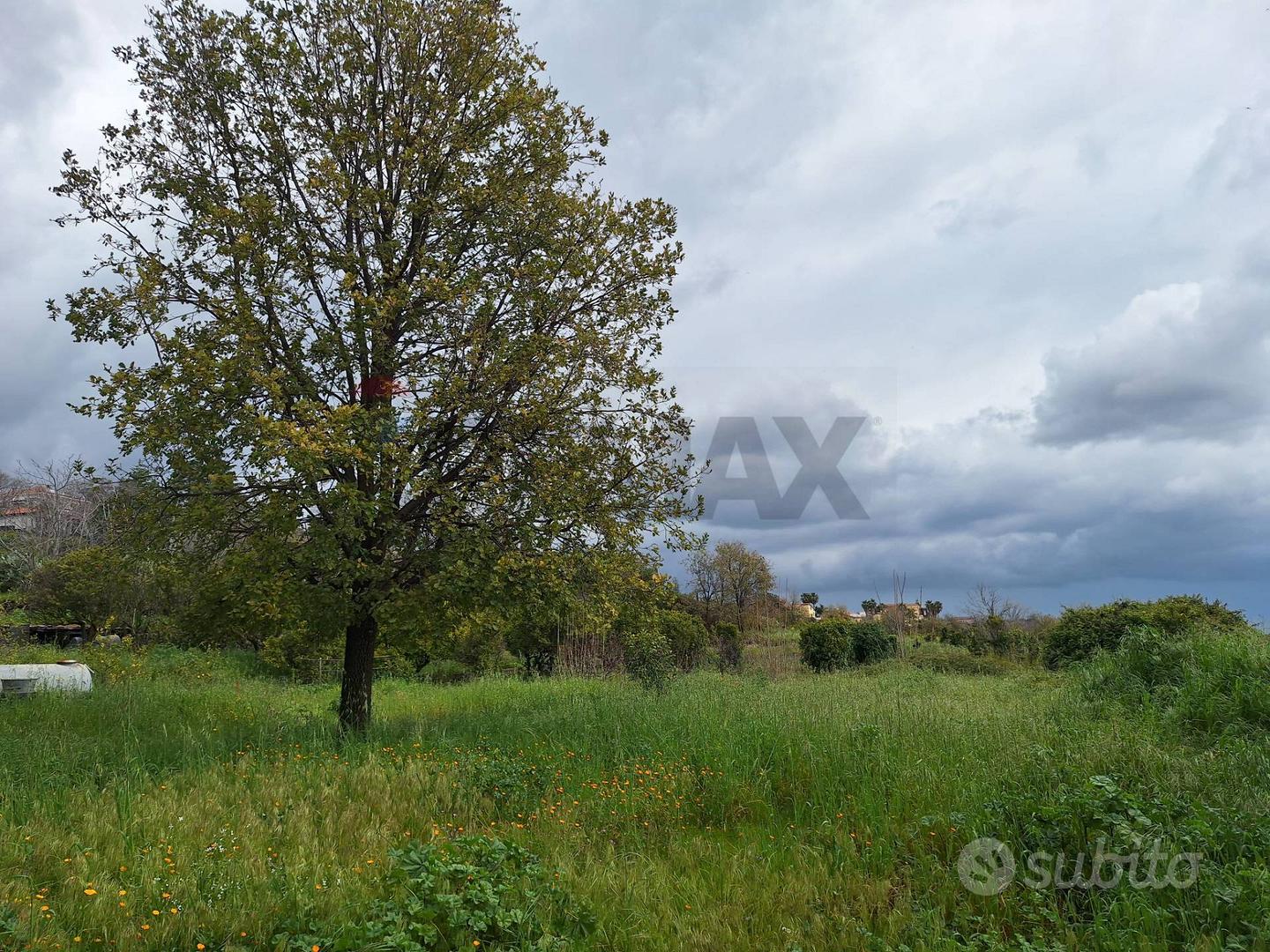 Terreno - Trecastagni - Vista 4