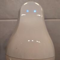 mother and 4 motion cookie