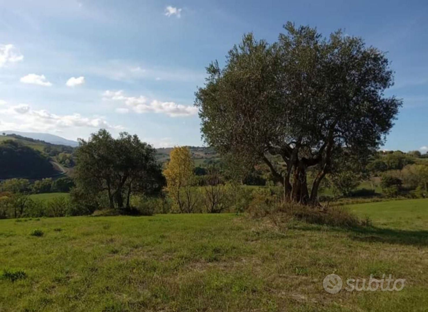 Terreno agricolo frazione Galoppa, Barchi (T Rov) - Vista 3