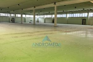 Immobile di 6250 m² a Giove