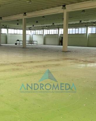 Immobile di 6250 m² a Giove