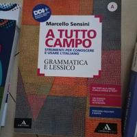 libri scolastici-Grammatica e lessico