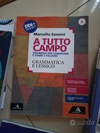 libri scolastici-Grammatica e lessico