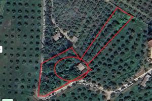 Rustico e terreno di 2600 mq