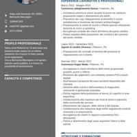 Call center, commessa, banconista