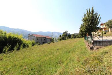 TER. RESIDENZIALE A CHIAMPO