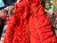 Immagine 5