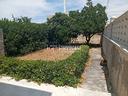 villa-singola-con-500-mq-di-giardino