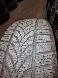 Pneumatici Invernali 225/50 R19