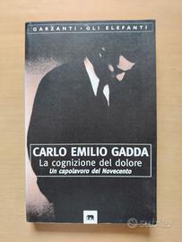 La cognizione del dolore - Carlo Emilio Gadda