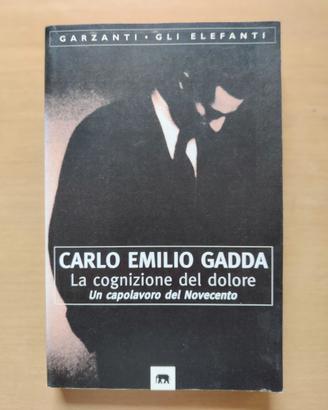 La cognizione del dolore - Carlo Emilio Gadda