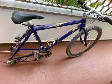 Bicicletta come da foto per inuti
