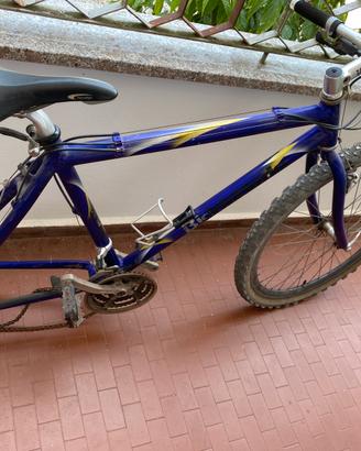 Bicicletta come da foto per inuti