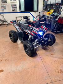 aeon cobra 400 efi