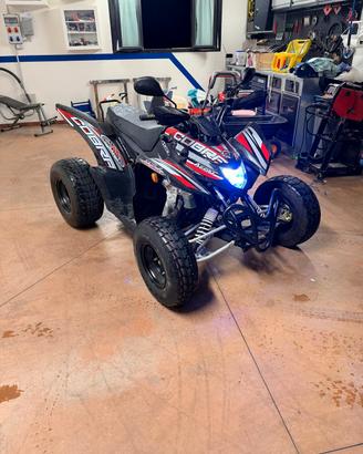 aeon cobra 400 efi
