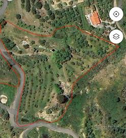Terreno agricolo