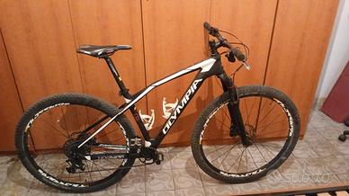 Mtb olimpia iron carbonio 29