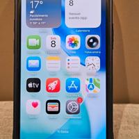 iPhone 12 mini 256 GB 