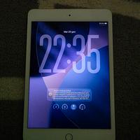 iPad mini 5th Gen 256gb wifi 4g lte
