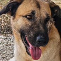 Jimmy dolcissimo e affettuoso