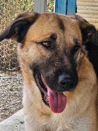 Jimmy dolcissimo e affettuoso