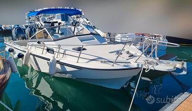 Boston Whaler 25 W.T. + 2x150 hp Yamaha