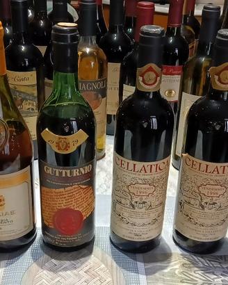 bottiglie vino da collezione 