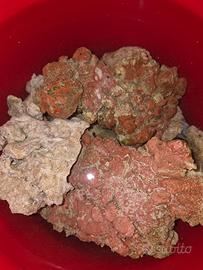 Rocce vive acquario marino (Fiji + sintetiche)