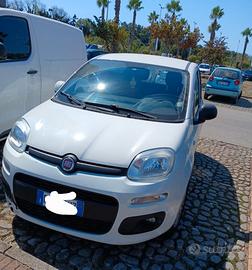 Fiat Panda 1.2 Easy GPL Perfetta per neopatenta