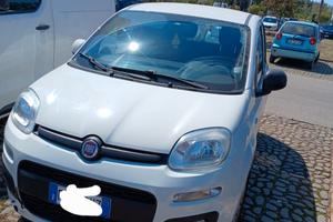 Fiat Panda 1.2 Easy GPL Perfetta per neopatenta