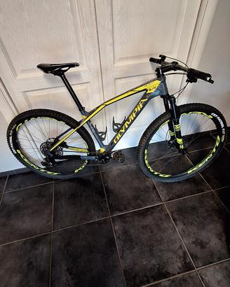 bici in carbonio mtb