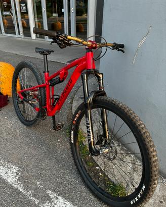 Rockrider 100s custom