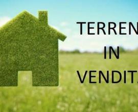 Terreno Edificabile
