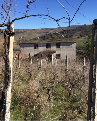 Villa con vigna e 2 dependance in Grancia