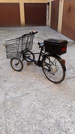 bici Eletrica 3 ruote