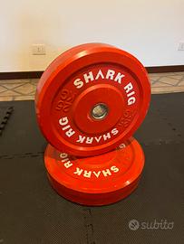 Pesi palestra gommati bumpers