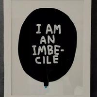 David Shirgley “i’am an imbecible”