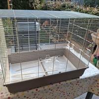 gabbia ucceIli IMAC-Tasha/Perfetta,Full Optional!