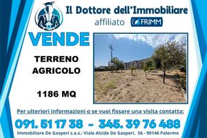 Terreno Agricolo Zona Cruillas 2455 mq