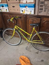 Bicicletta da donna