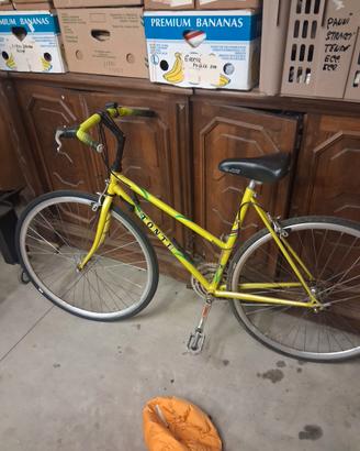 Bicicletta da donna