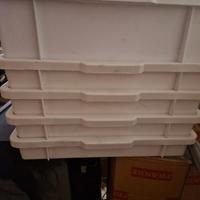 teglie pizza o alimenti