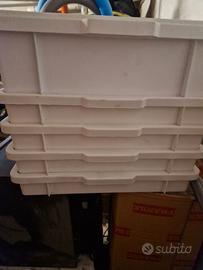 teglie pizza o alimenti