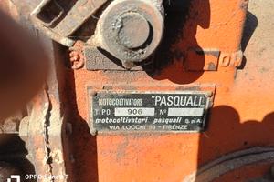motocoltivatore Pasquali 