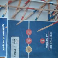 COLORI DELLA MATEMATICA ED. BLU ALGEBRA 1