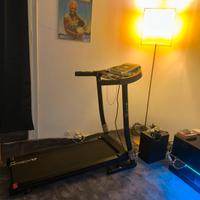 tapis roulant  250€