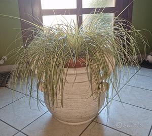 vaso in cotto fiorentino