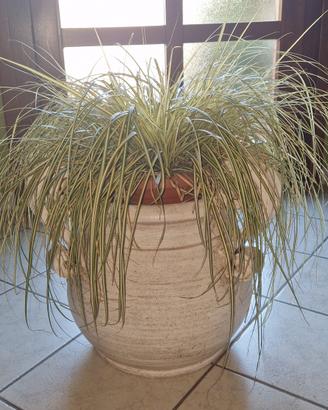 vaso in cotto fiorentino