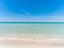 Immagine 8