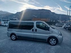 Opel Vivaro 29 2.5 CDTI/135CV PL-TN Combi
